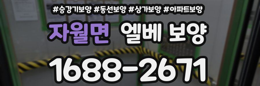 자월면 엘베 보양