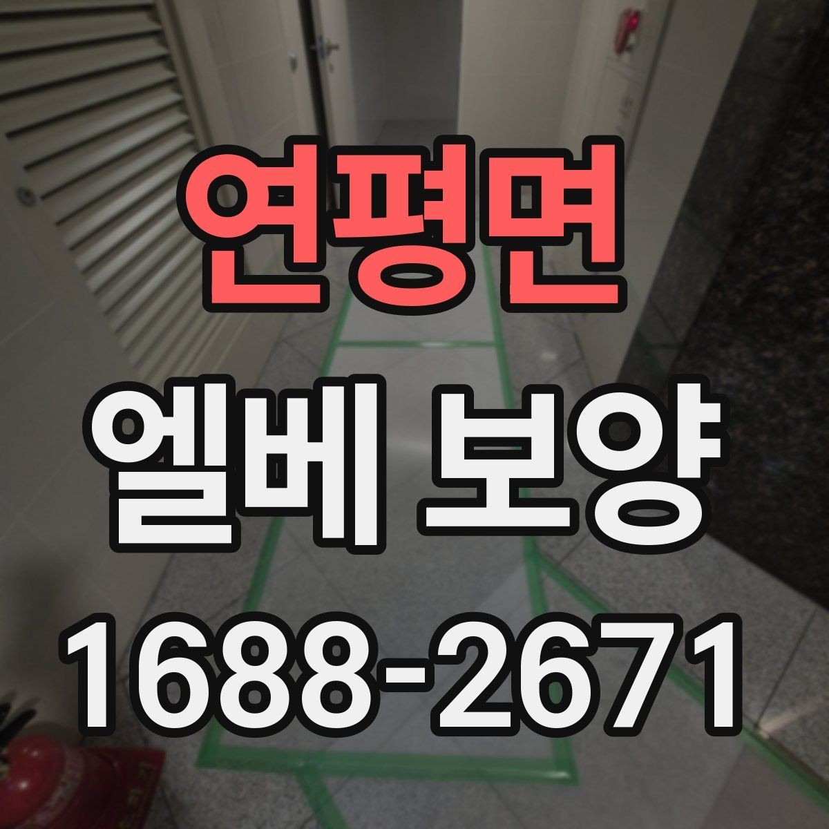 연평면 엘베 보양 바닥 벽면 거울 자재를 구분하는 이유