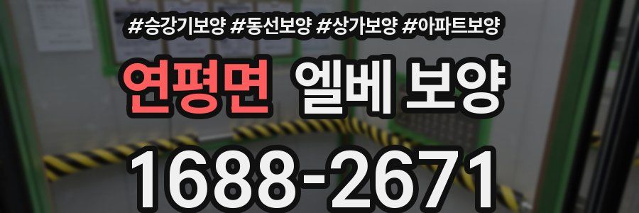 연평면 엘베 보양