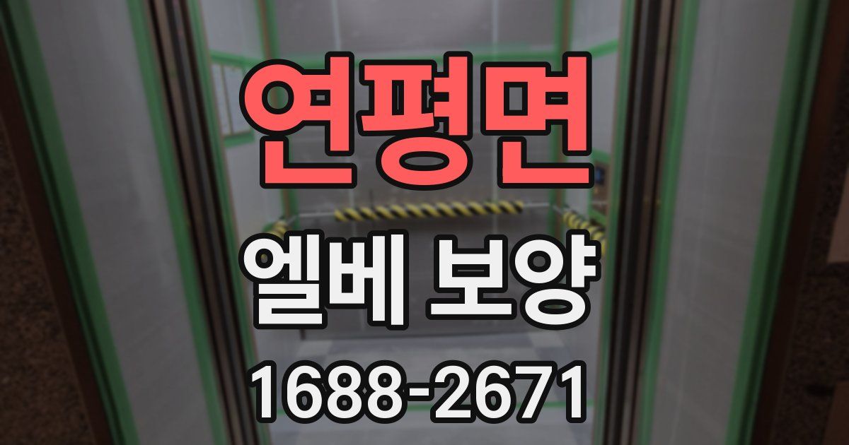 연평면 엘베 보양