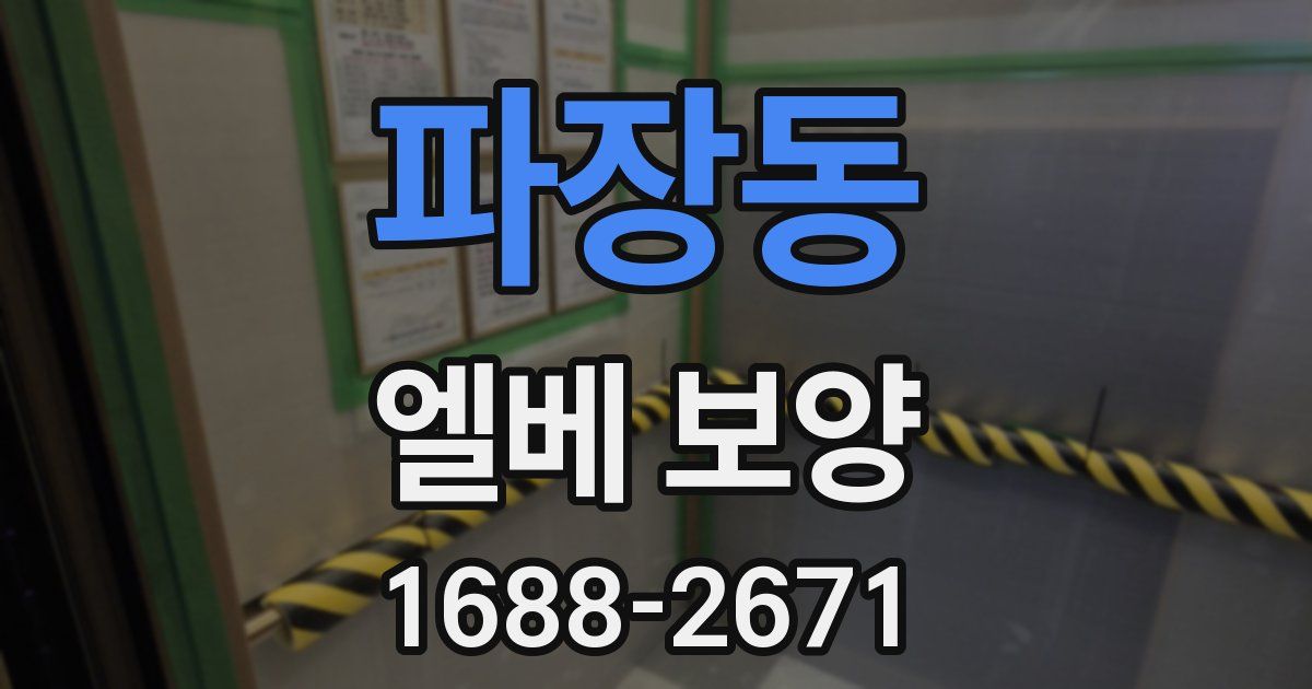 파장동 엘베 보양