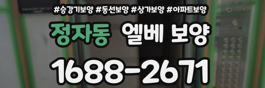 정자동 엘베 보양