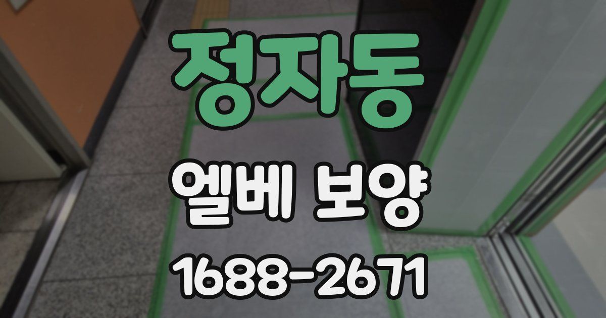 정자동 엘베 보양