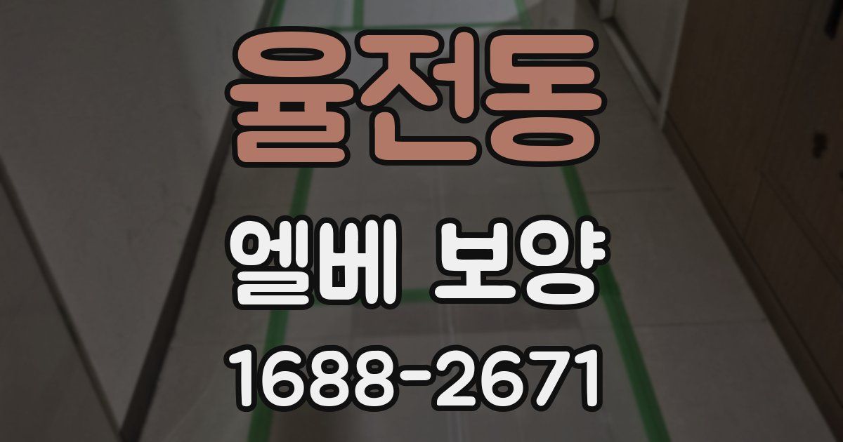 율전동 엘베 보양