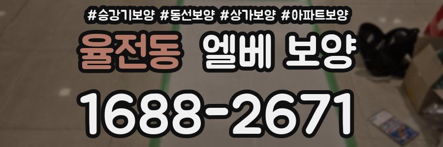 율전동 엘베 보양