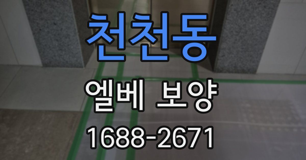 천천동 엘베 보양