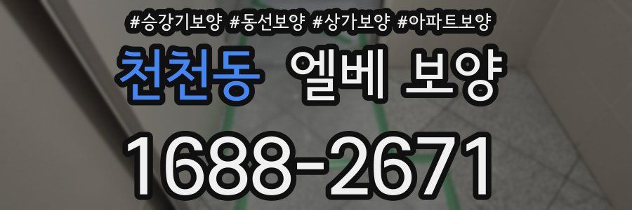 천천동 엘베 보양