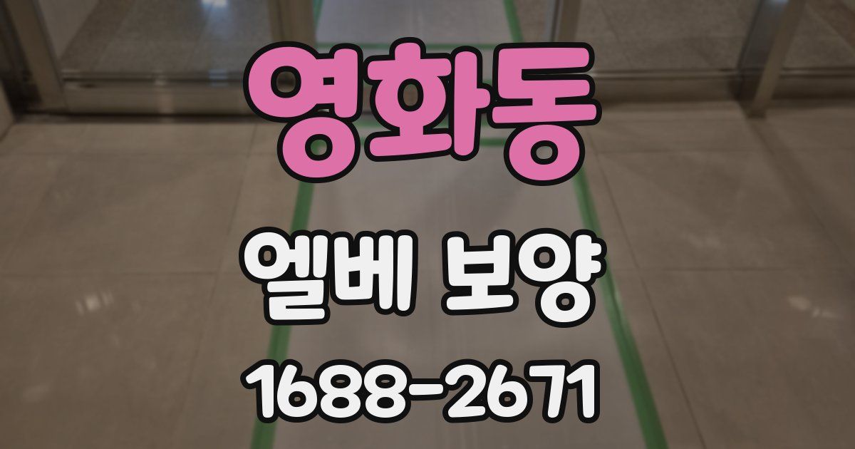 영화동 엘베 보양