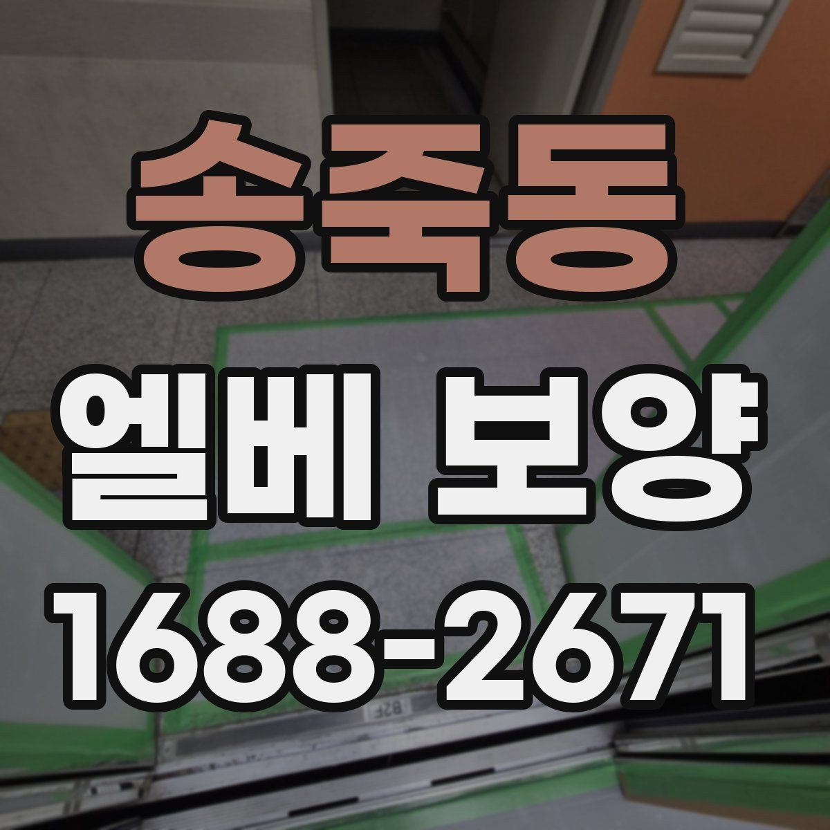 송죽동 엘베 보양 철거 없이 깔끔하게 마감하는 방법