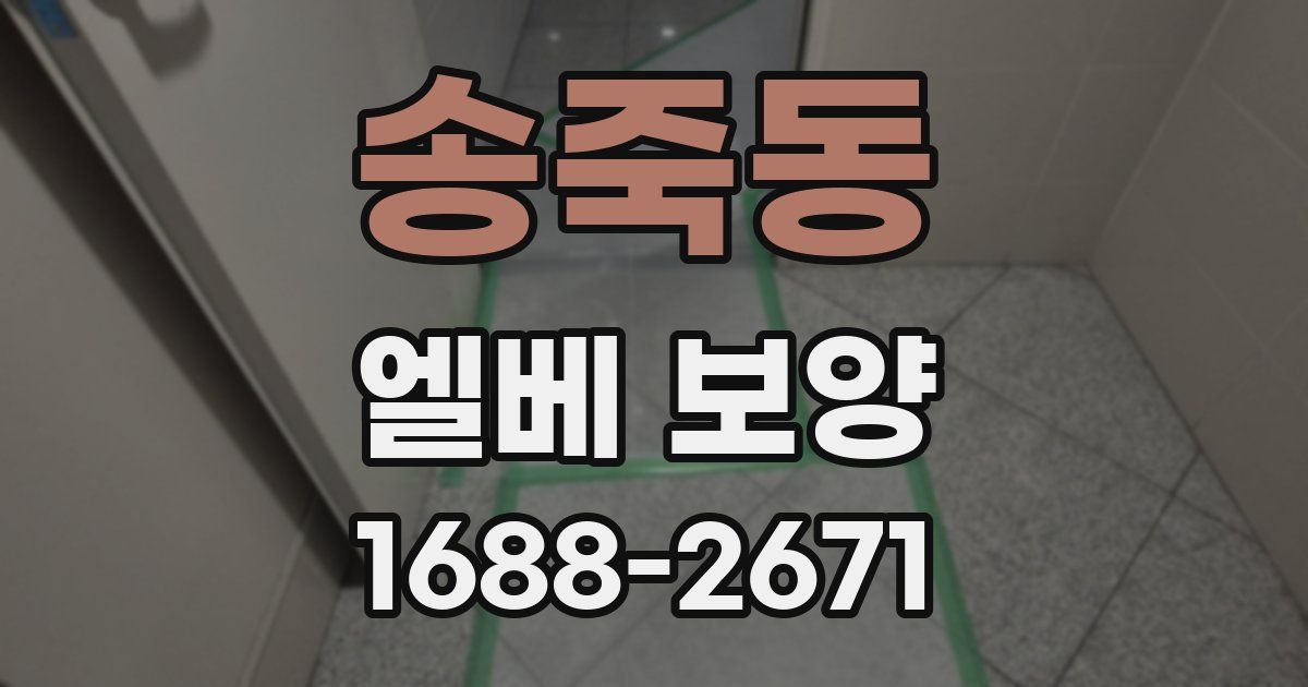 송죽동 엘베 보양