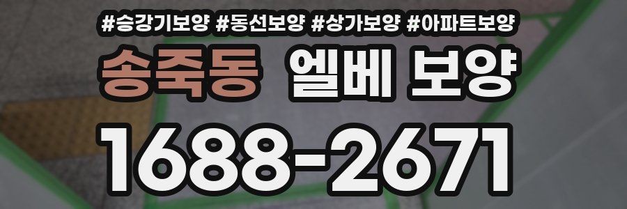 송죽동 엘베 보양