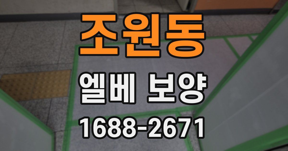 조원동 엘베 보양