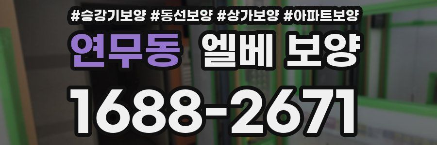 연무동 엘베 보양
