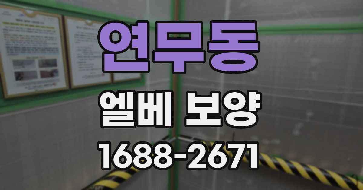 연무동 엘베 보양