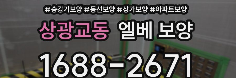 상광교동 엘베 보양