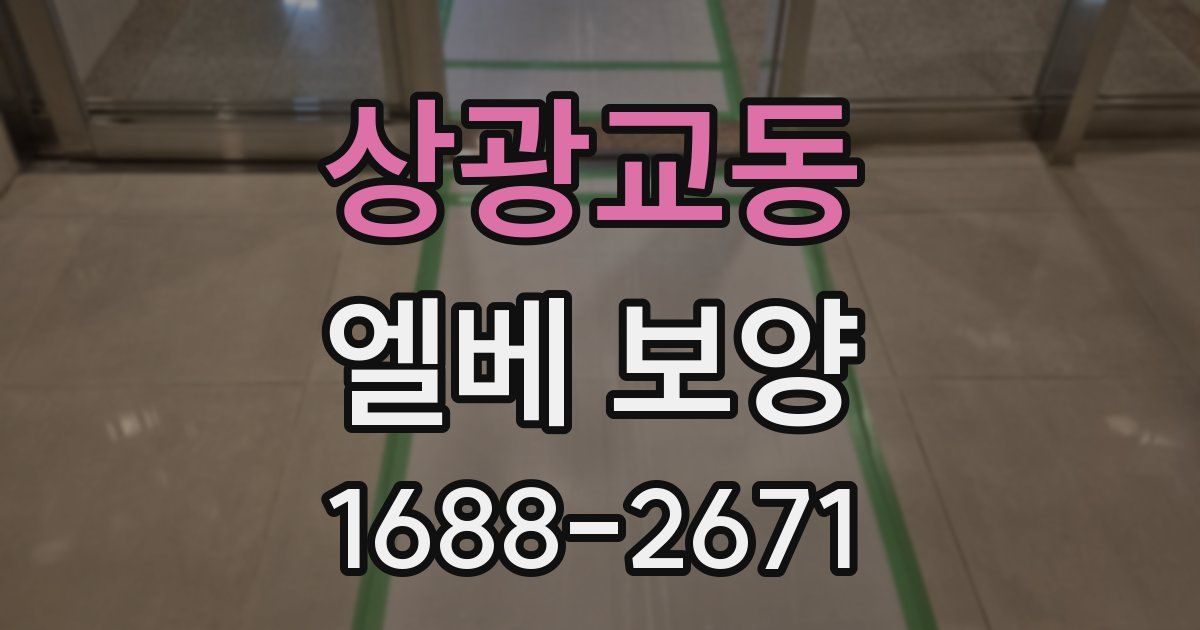 상광교동 엘베 보양