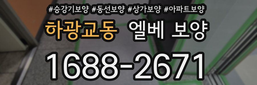 하광교동 엘베 보양