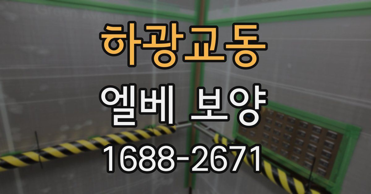 하광교동 엘베 보양