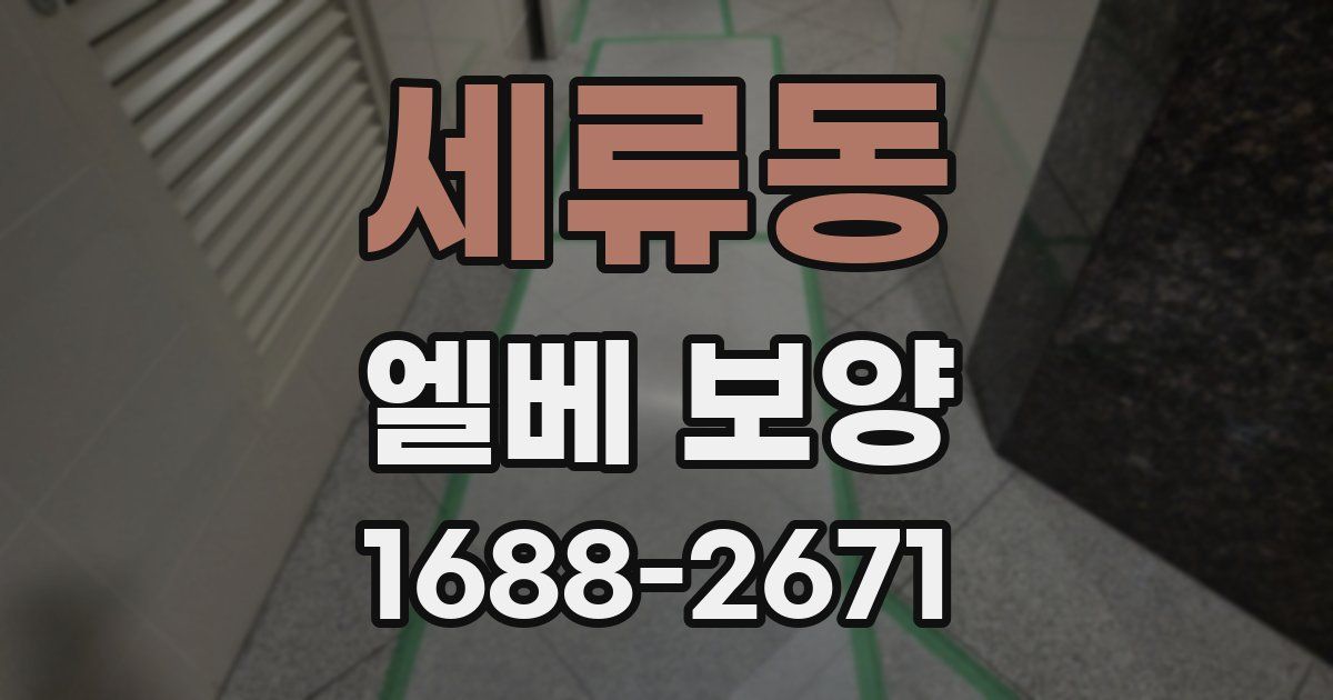 세류동 엘베 보양