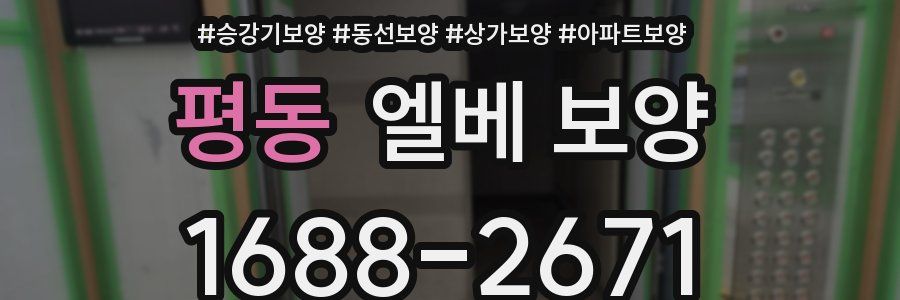 평동 엘베 보양