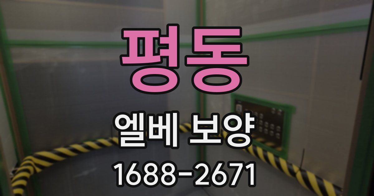 평동 엘베 보양