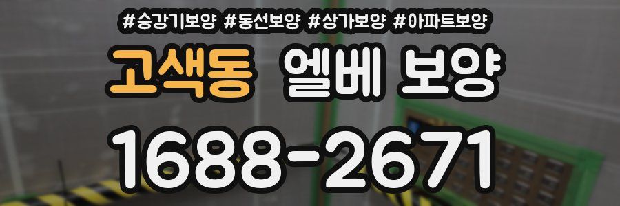 고색동 엘베 보양