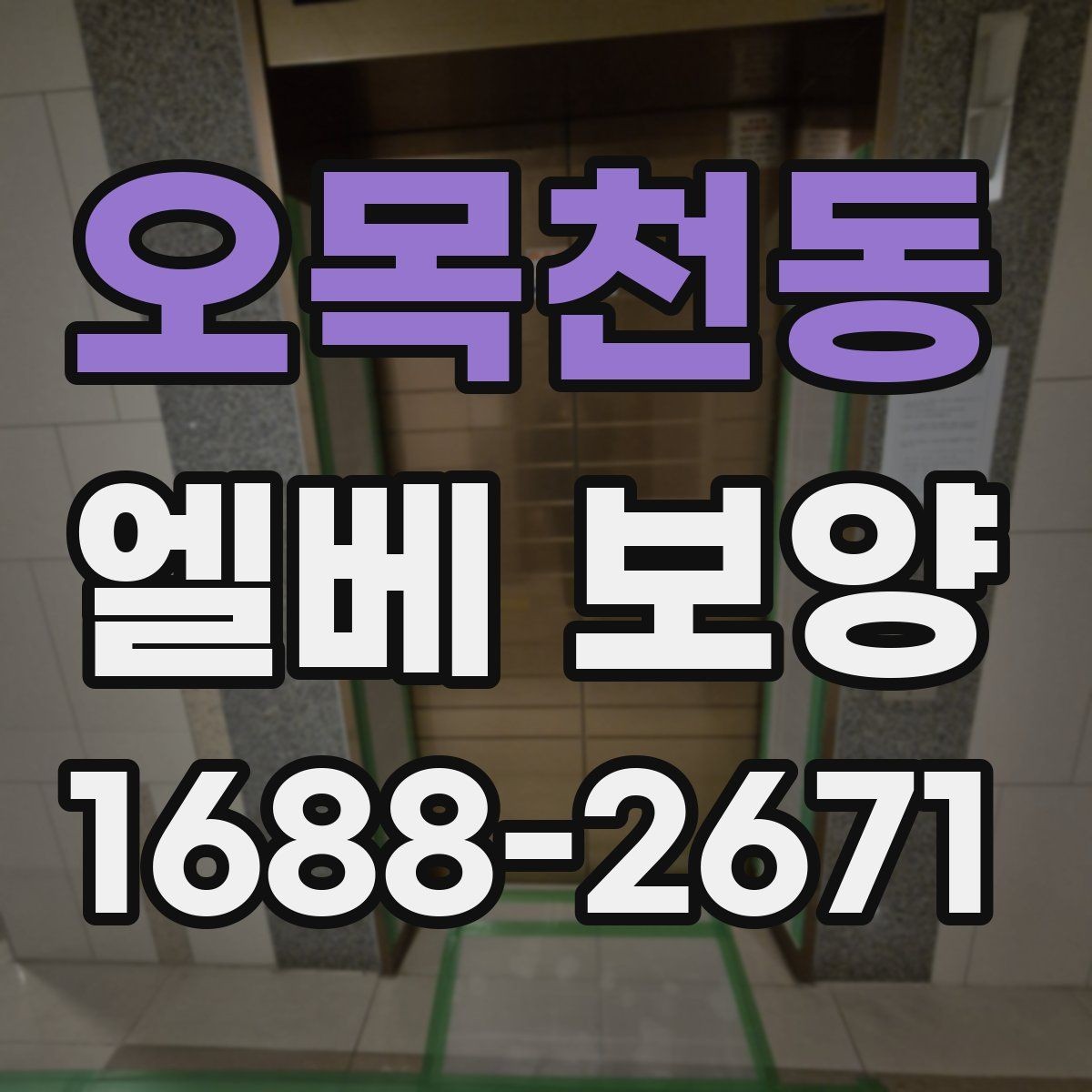 오목천동 엘베 보양 현장마다 달라지는 자재 배치와 보호 순서
