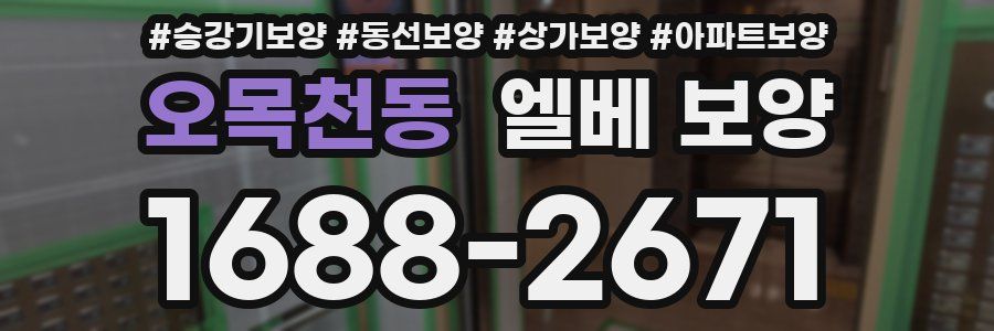 오목천동 엘베 보양