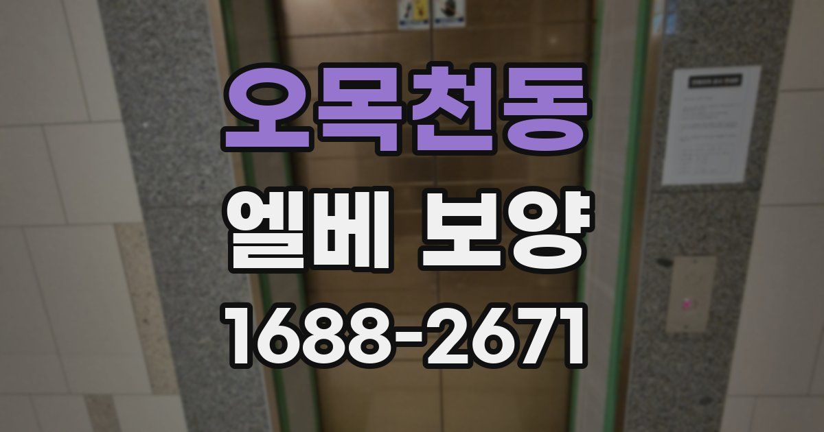 오목천동 엘베 보양