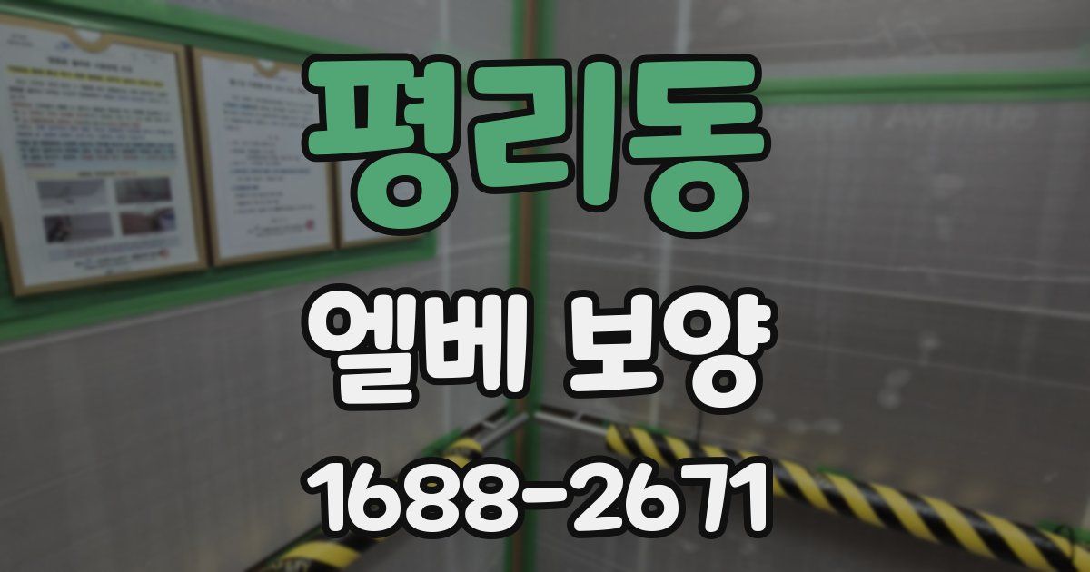 평리동 엘베 보양