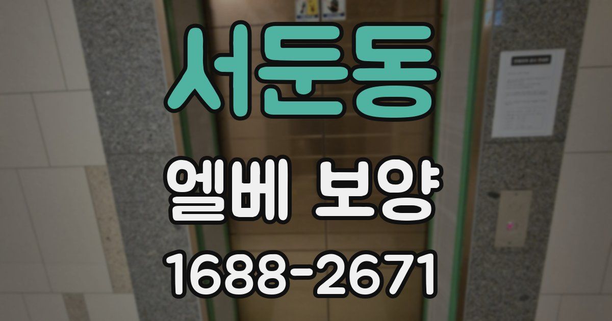 서둔동 엘베 보양