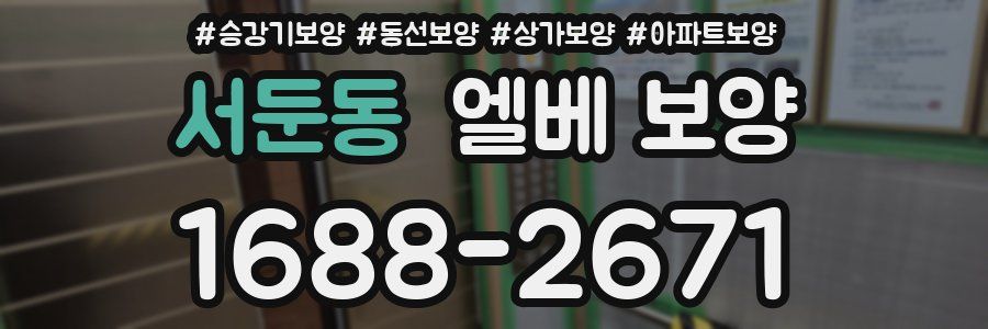 서둔동 엘베 보양