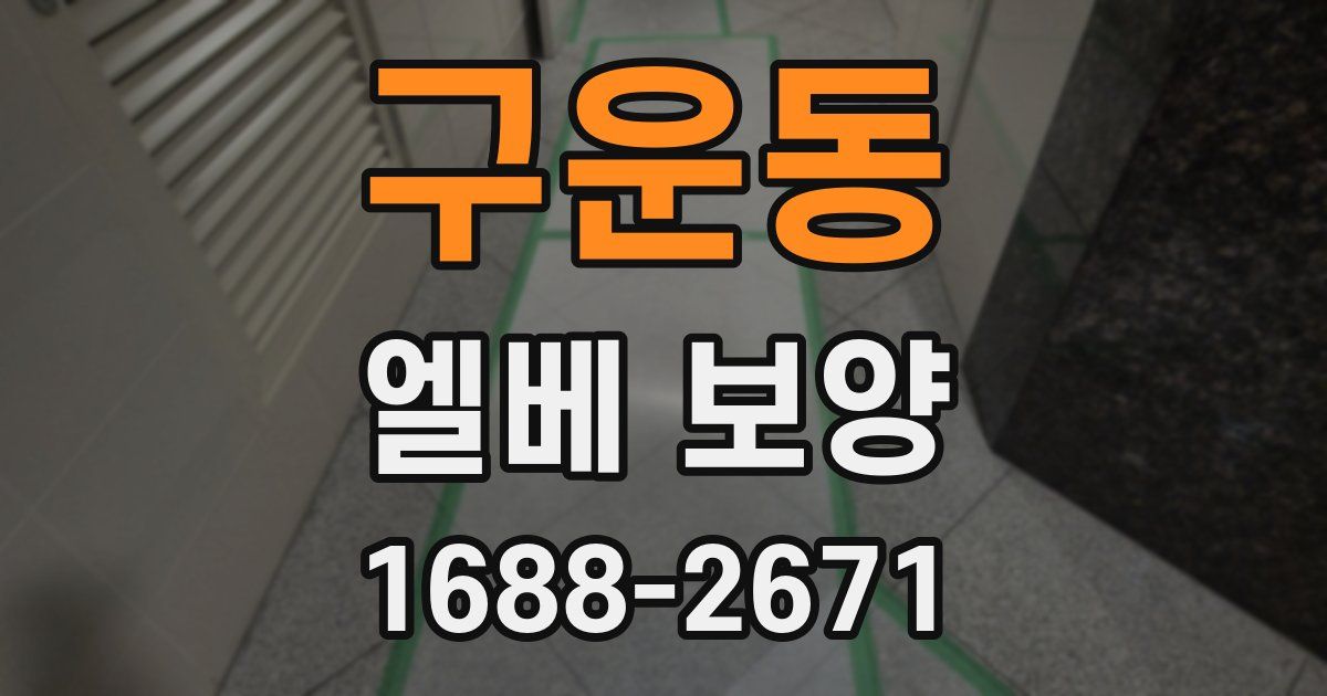 구운동 엘베 보양