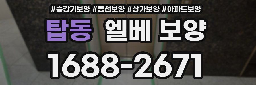 탑동 엘베 보양