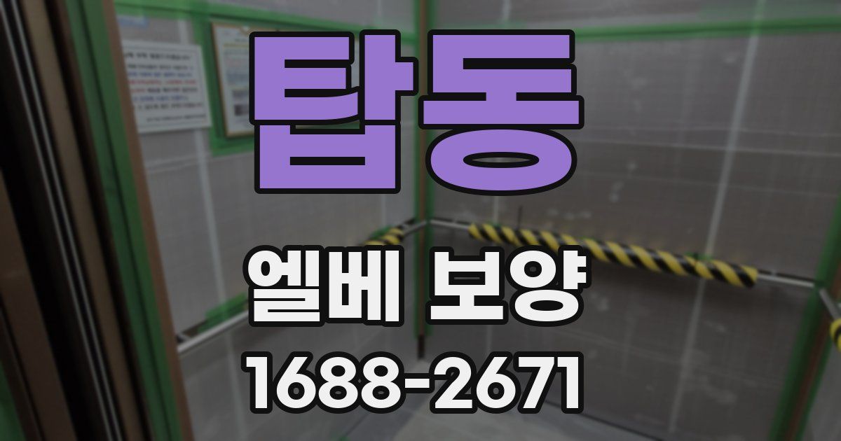 탑동 엘베 보양