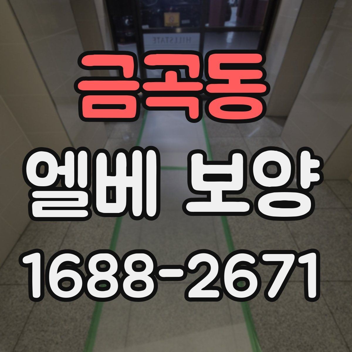 금곡동 엘베 보양 공용부 동선이 겹칠 때 우선 챙길 구간