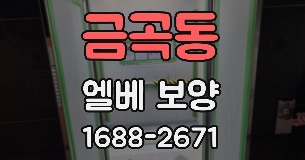금곡동 엘베 보양