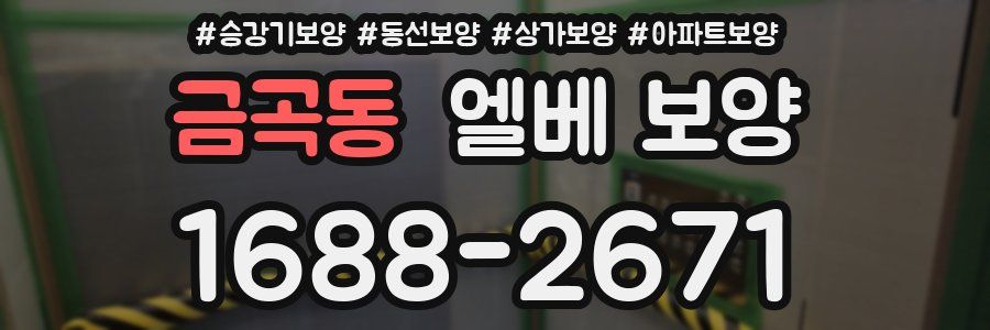 금곡동 엘베 보양