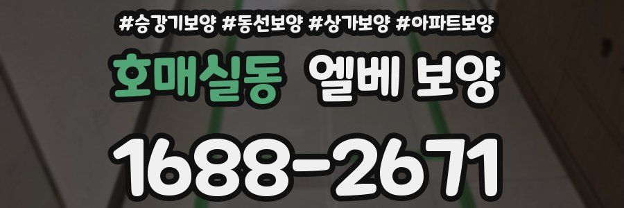 호매실동 엘베 보양