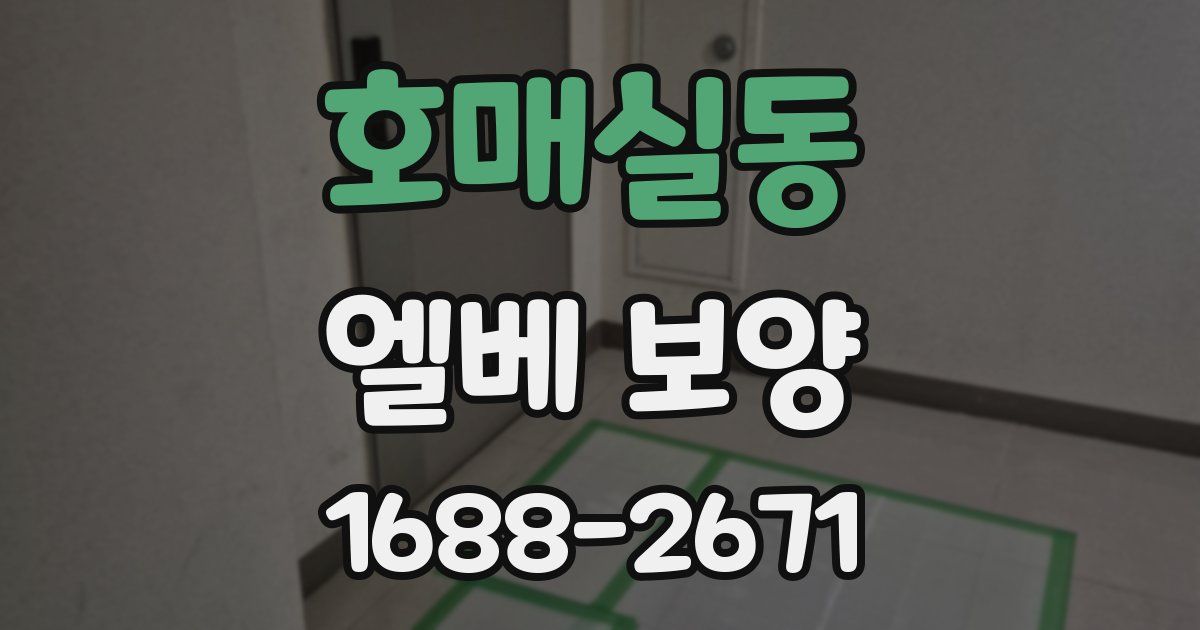 호매실동 엘베 보양