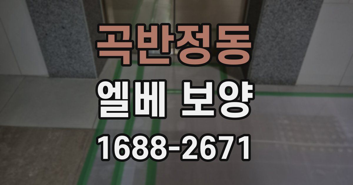 곡반정동 엘베 보양