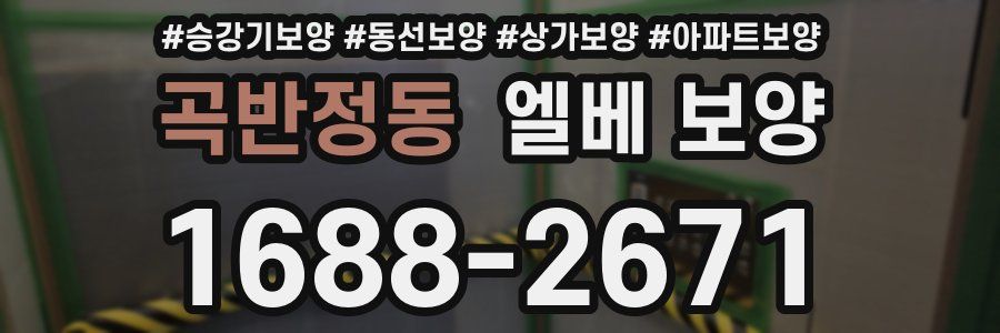 곡반정동 엘베 보양