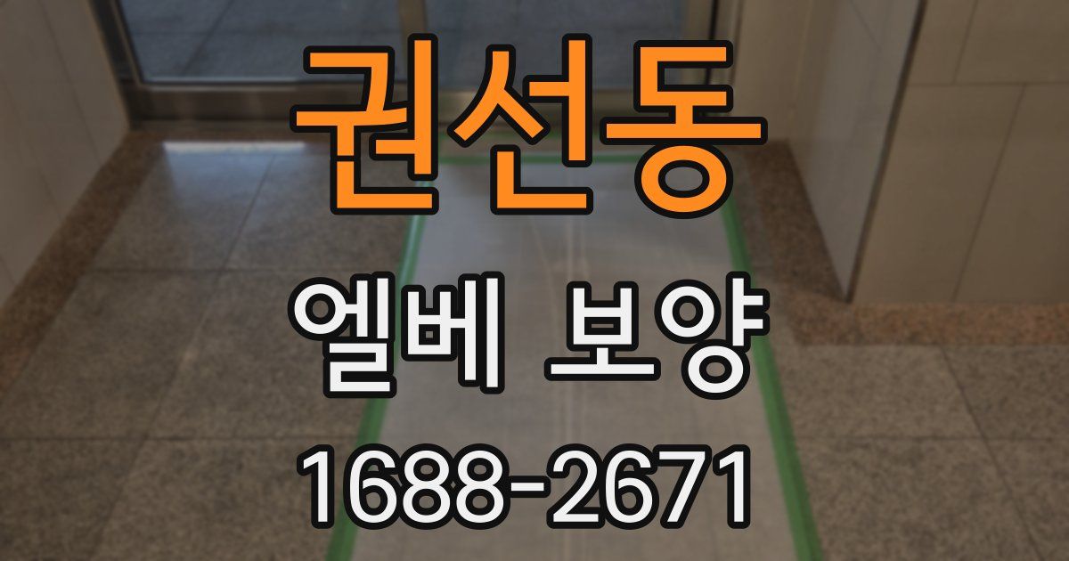 권선동 엘베 보양
