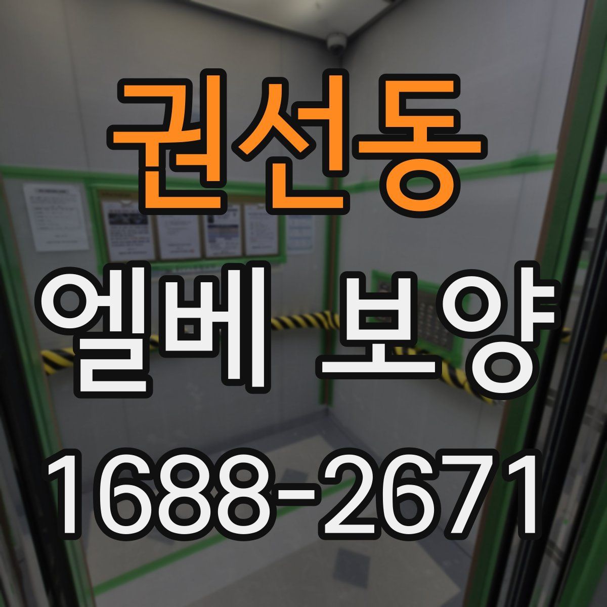 권선동 엘베 보양