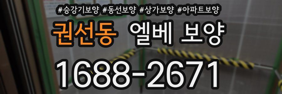 권선동 엘베 보양