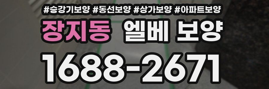 장지동 엘베 보양