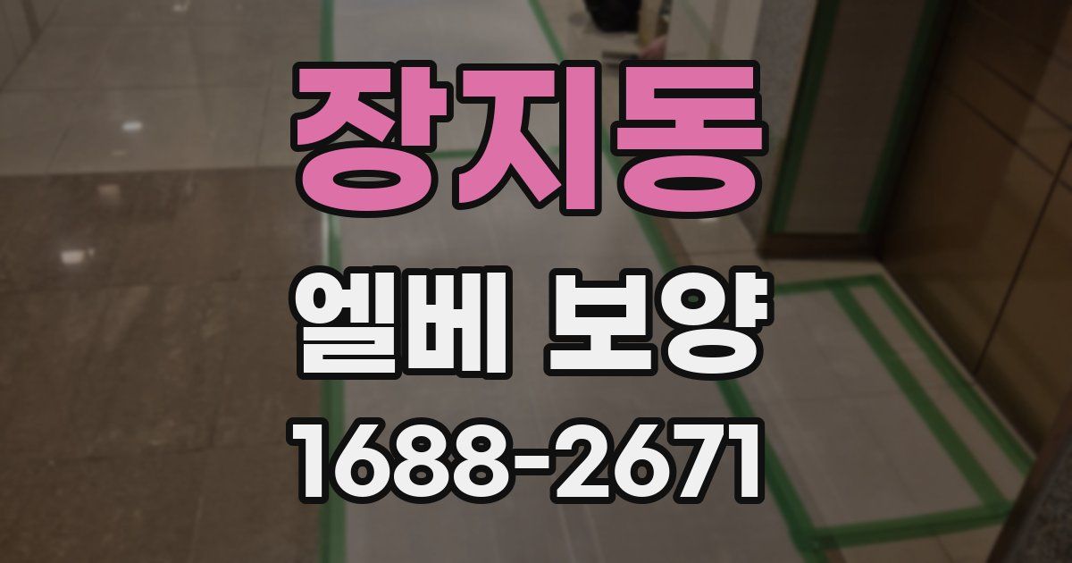 장지동 엘베 보양