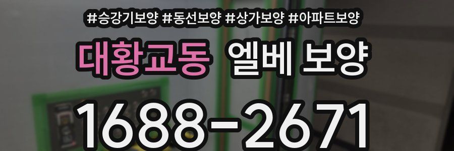 대황교동 엘베 보양