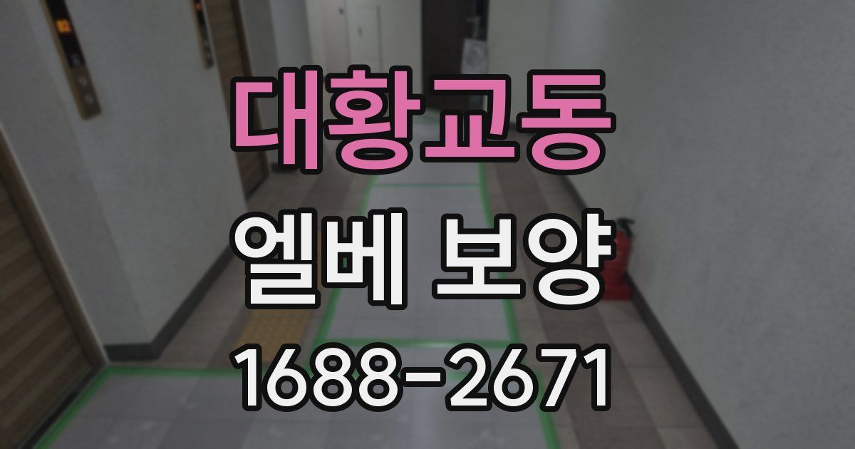 대황교동 엘베 보양