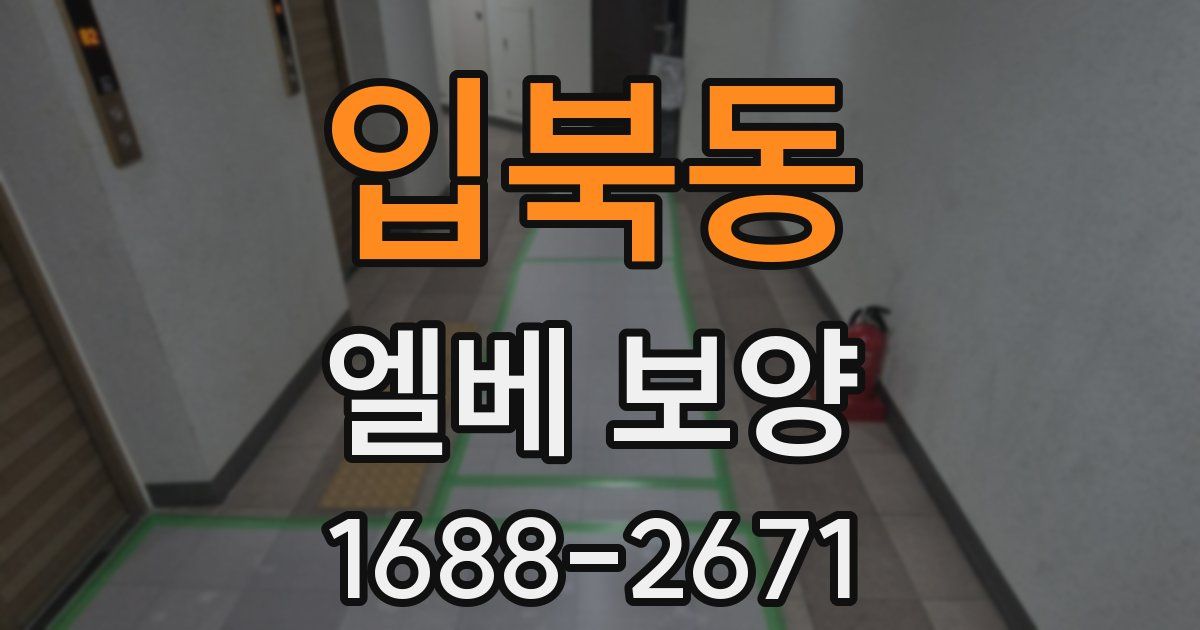 입북동 엘베 보양